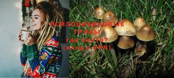 крисы Алзамай