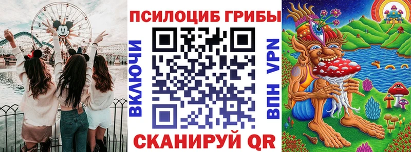 где найти Киренск MEGA онион Псилоцибиновые грибы Psilocybe